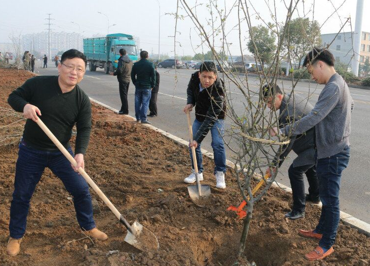 市中小企業(yè)擔(dān)保公司義務(wù)植樹活動(dòng)簡(jiǎn)報(bào)